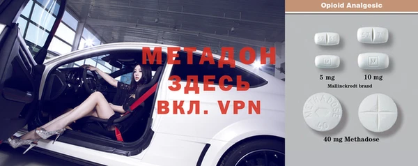 стаф Алзамай