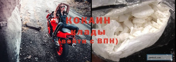 стаф Алзамай